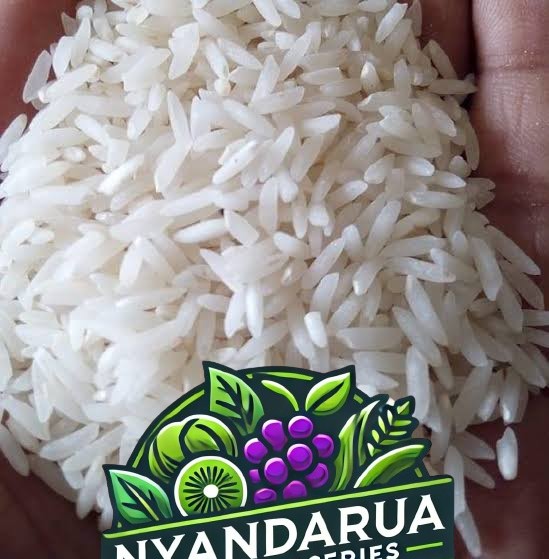 RICE pishori